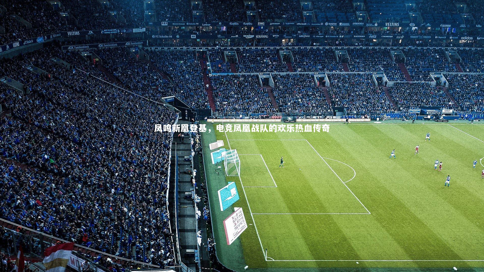 凤鸣新凰登基，电竞凤凰战队的欢乐热血传奇